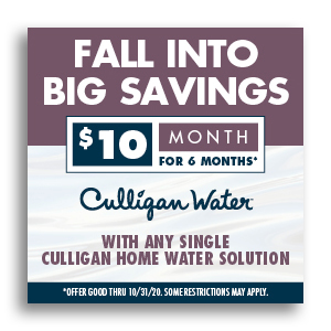 Culligan-Digital-Ad-Consumer2A-250x250