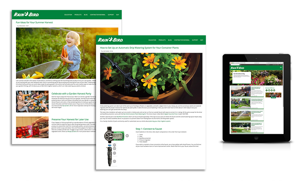 rainbird-blog-device-mockup-01