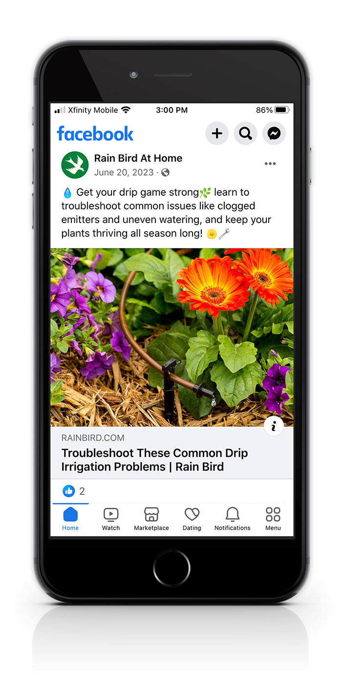 rainbird-social-post-phone-mockup-01c
