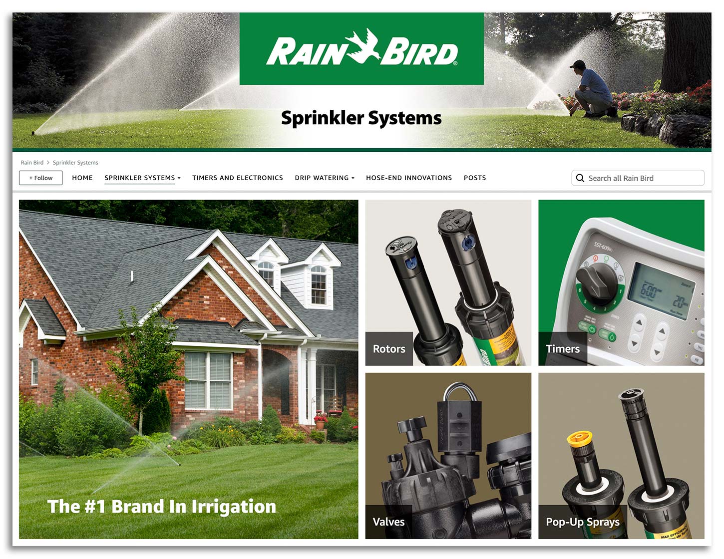 rainbird-amazon-page-01