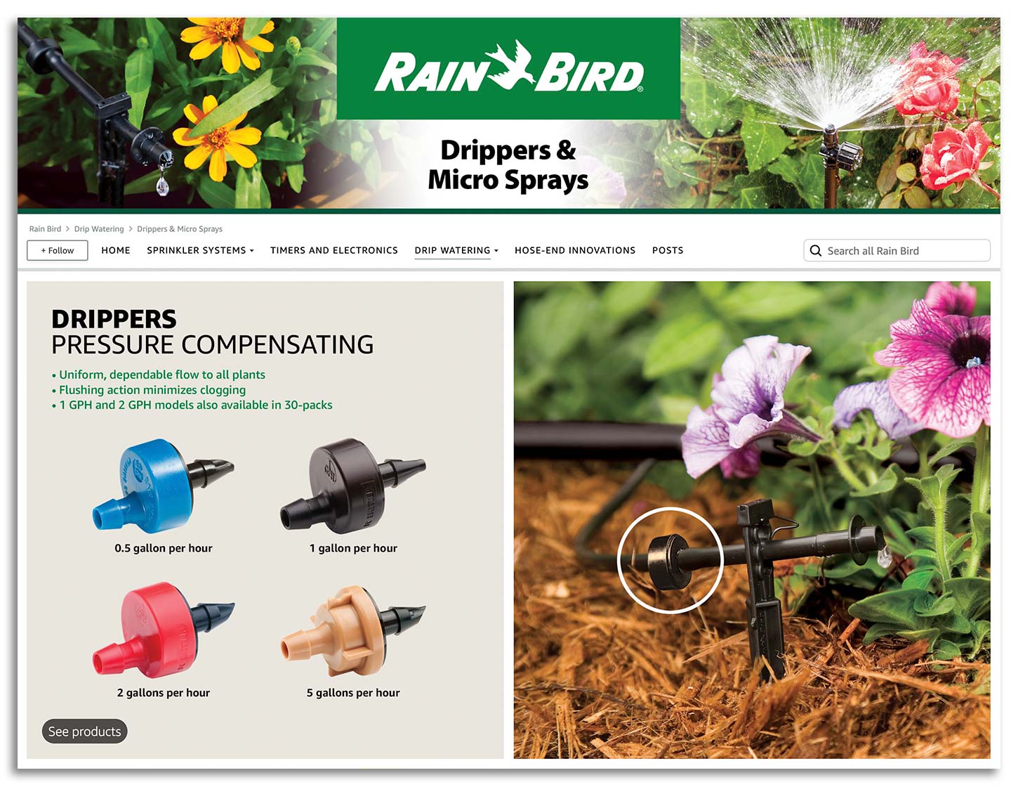rainbird-amazon-page-02