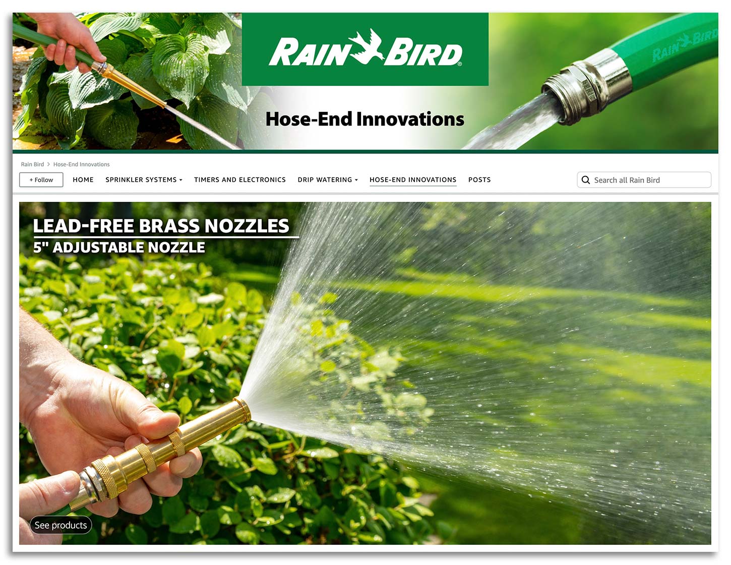 rainbird-amazon-page-04